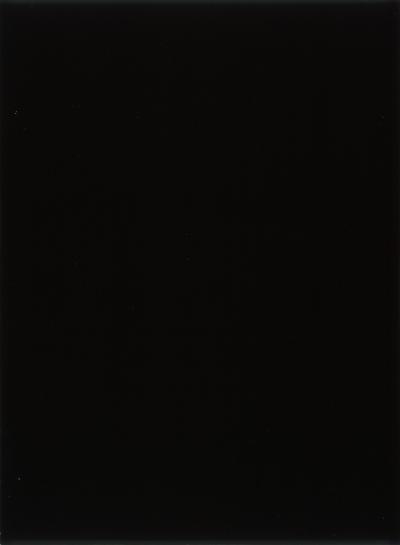 Zwart monochroom (blauwzwart)